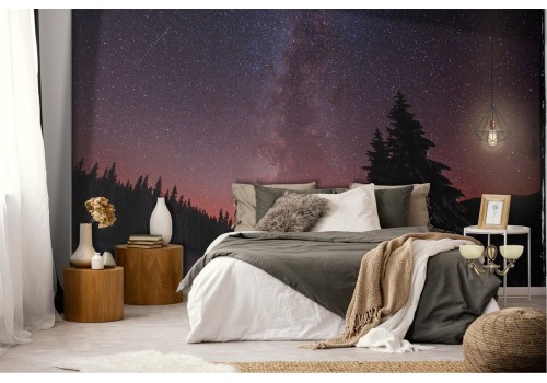 Milky Way galaxy landscape wallpaper 2