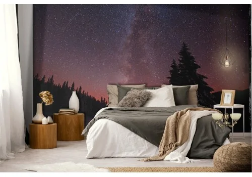 Milky Way galaxy landscape wallpaper 2