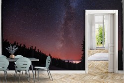 Wallpaper Forests and Trees Universe