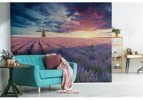 Wallpaper landscape meadow flowers with windmill