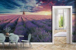 Wallpaper Meadows and Hills