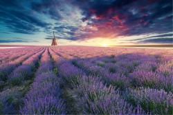 Wallpaper Landscapes and Nature Meadows and Hills