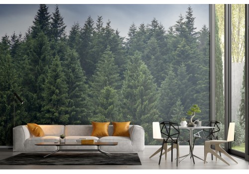 Wallpaper photography landscape trees forest