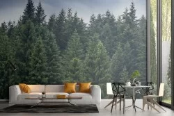 Wallpaper photography landscape trees forest