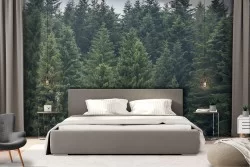 Wallpaper photography landscape trees forest