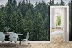 Carta da Parati Foreste e Alberi