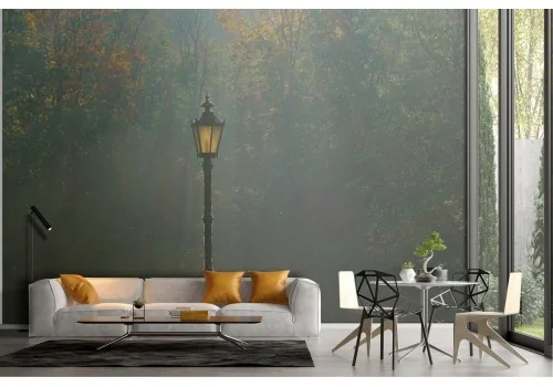 Wallpaper street lamp in the forest nature landscape