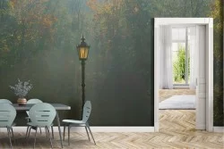 Fantasy Wallpaper and Dark Forests and Trees