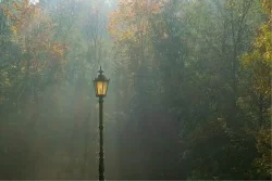 Wallpaper Landscapes and Nature Fantasy and Dark Forests and Trees