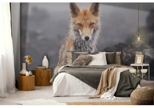 Carta da Parati natura volpe fotografia 2