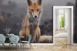 Animal Wallpaper