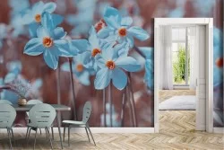 Modern Nature Flowers Wallpaper