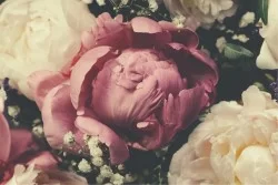 Carta da Parati Design e Stili Flora e Fauna Fiori Natura