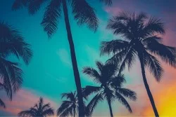 Carta da Parati Paesaggi e Natura Alba Tramonto Tropicale