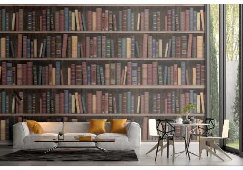Carta da Parati decorazione libreria 3D.