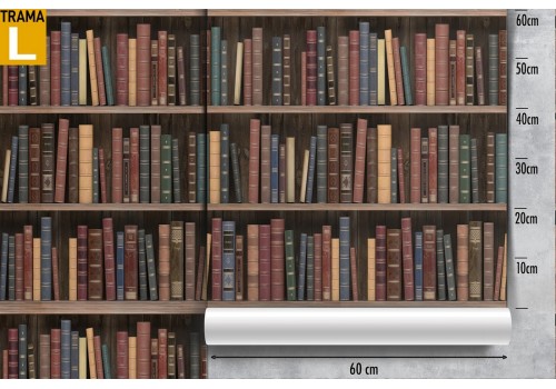 3D Wallpaper library decoration. 2