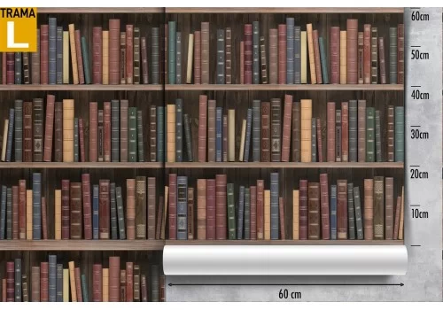 Carta da Parati decorazione libreria 3D. 2