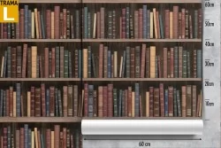 Carta da Parati decorazione libreria 3D.