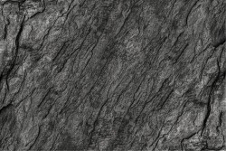 Carta da Parati Superfici e Texture Legno