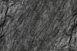 Carta da Parati Superfici e Texture Legno