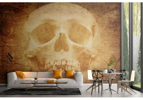 Dark horror skull wallpaper 2