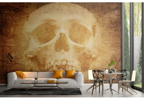 Dark horror skull wallpaper 2