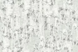 Carta da Parati Design e Stili Moderna Scritte