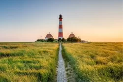 Carta da Parati Paesaggi e Natura Prati e colline