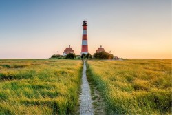 Wallpaper Landscapes and Nature Meadows and Hills