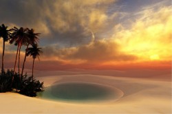 Wallpaper Landscapes and Nature Flora and Fauna Desert Oasis Trees