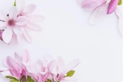 Wallpaper Design and Styles Oriental Flora and Fauna Zen Nature Flowers