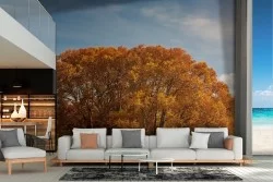 Carta da Parati paesaggio parco con albero autunno