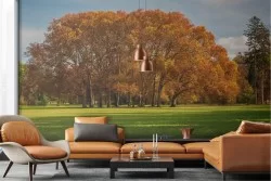 Wallpaper landscape park with autumn tree