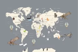 Wallpaper City Maps Transport Children Transportation Rockets Planes Hot Air Balloons Maps