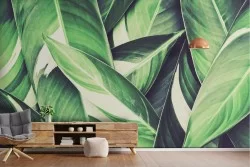 Nature Leaves Wallpaper