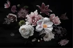 Carta da Parati Design e Stili Flora e Fauna Fiori Natura Vintage