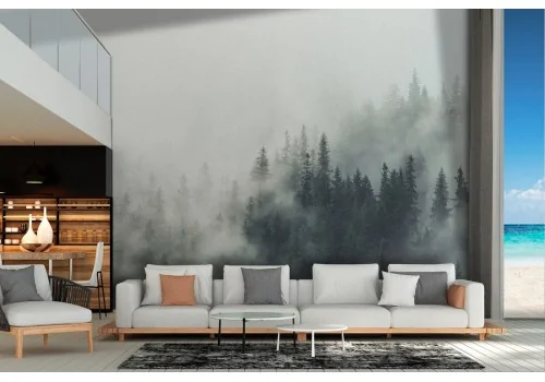 Wallpaper landscape nature forest