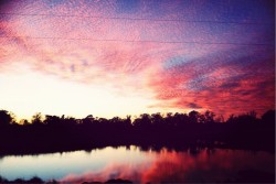 Wallpaper Flora and Fauna Landscapes and Nature Sunrise Sunset Rivers Waterfalls Lakes Forests and Trees