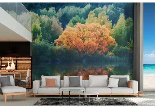 Carta da Parati paesaggio foresta su lago