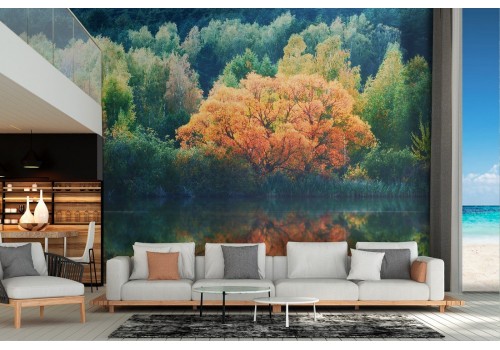 Wallpaper landscape forest on lake