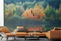 Wallpaper landscape forest on lake