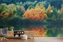 Wallpaper Rivers Waterfalls Lakes Forests and Trees