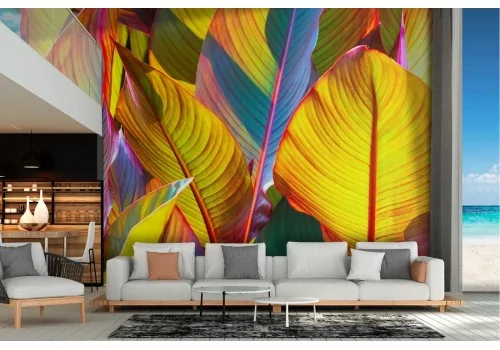 Wallpaper nature extravagant orange leaves