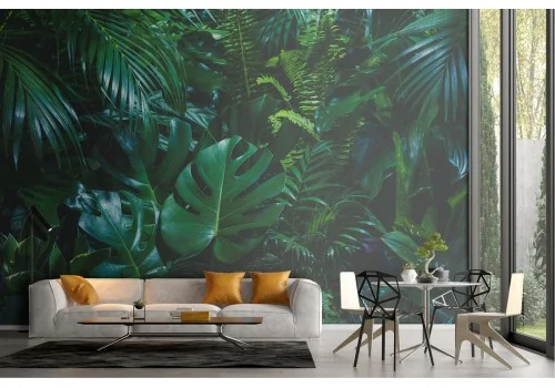 Tropical Forest Leaves Nature Wallpaper