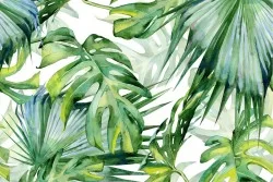 Carta da Parati foglie tropicali illustrazione natura.