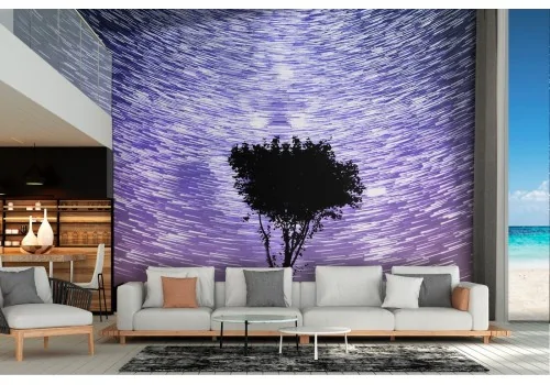 Wallpaper landscape tree starry sky