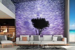 Carta da Parati paesaggio albero cielo stellato