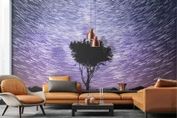 Wallpaper landscape tree starry sky