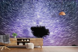 Carta da Parati Alberi Cielo Universo