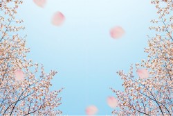 Carta da Parati Paesaggi e Natura Flora e Fauna Cielo Fiori Orientale e Zen Alberi